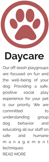 Daycare Our off-leash playgroups are focused on fun and the well-being of your dog. Providing a safe, positive social play experience for your pet is our priority. We are committed to understanding group dog behavior and educating all our staff on safe and humane management techniques. READ MORE