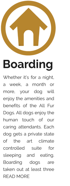 Boarding Whether it’s for a night, a week, a month or more, your dog will enjoy the amenities and benefits of the All Fur Dogs. All dogs enjoy the human touch of our caring attendants. Each dog gets a private state of the art climate controlled suite for sleeping and eating. Boarding dogs are taken out at least three          READ MORE