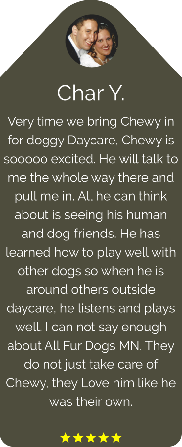 Char Y. Very time we bring Chewy in for doggy Daycare, Chewy is sooooo excited. He will talk to me the whole way there and pull me in. All he can think about is seeing his human and dog friends. He has learned how to play well with other dogs so when he is around others outside daycare, he listens and plays well. I can not say enough about All Fur Dogs MN. They do not just take care of Chewy, they Love him like he was their own.  