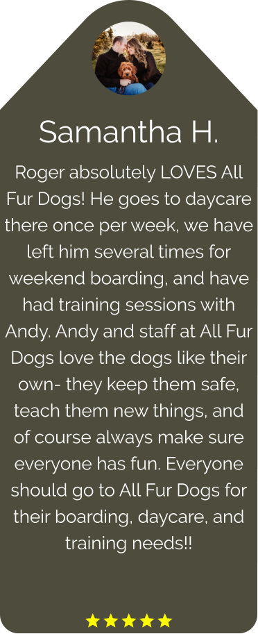 Samantha H. Roger absolutely LOVES All Fur Dogs! He goes to daycare there once per week, we have left him several times for weekend boarding, and have had training sessions with Andy. Andy and staff at All Fur Dogs love the dogs like their own- they keep them safe, teach them new things, and of course always make sure everyone has fun. Everyone should go to All Fur Dogs for their boarding, daycare, and training needs!!   