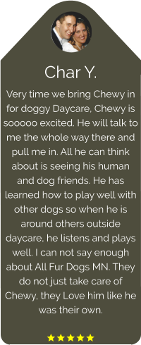 Char Y. Very time we bring Chewy in for doggy Daycare, Chewy is sooooo excited. He will talk to me the whole way there and pull me in. All he can think about is seeing his human and dog friends. He has learned how to play well with other dogs so when he is around others outside daycare, he listens and plays well. I can not say enough about All Fur Dogs MN. They do not just take care of Chewy, they Love him like he was their own.  