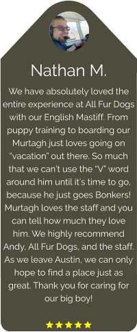 Nathan M. We have absolutely loved the entire experience at All Fur Dogs with our English Mastiff. From puppy training to boarding our Murtagh just loves going on “vacation” out there. So much that we can’t use the “V” word around him until it’s time to go, because he just goes Bonkers! Murtagh loves the staff and you can tell how much they love him. We highly recommend Andy, All Fur Dogs, and the staff. As we leave Austin, we can only hope to find a place just as great. Thank you for caring for our big boy!  