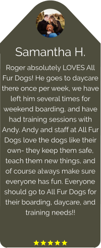 Samantha H. Roger absolutely LOVES All Fur Dogs! He goes to daycare there once per week, we have left him several times for weekend boarding, and have had training sessions with Andy. Andy and staff at All Fur Dogs love the dogs like their own- they keep them safe, teach them new things, and of course always make sure everyone has fun. Everyone should go to All Fur Dogs for their boarding, daycare, and training needs!!   